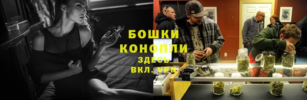 шишки Лиски