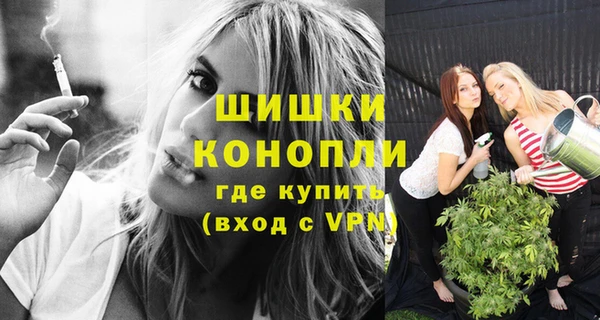 шишки Лиски