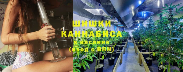 шишки Лиски