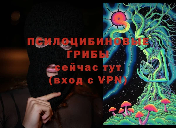 стаф Лихославль